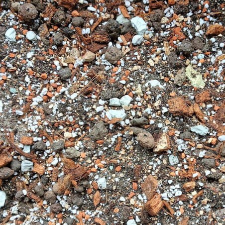 botanic-soil-moister.jpg