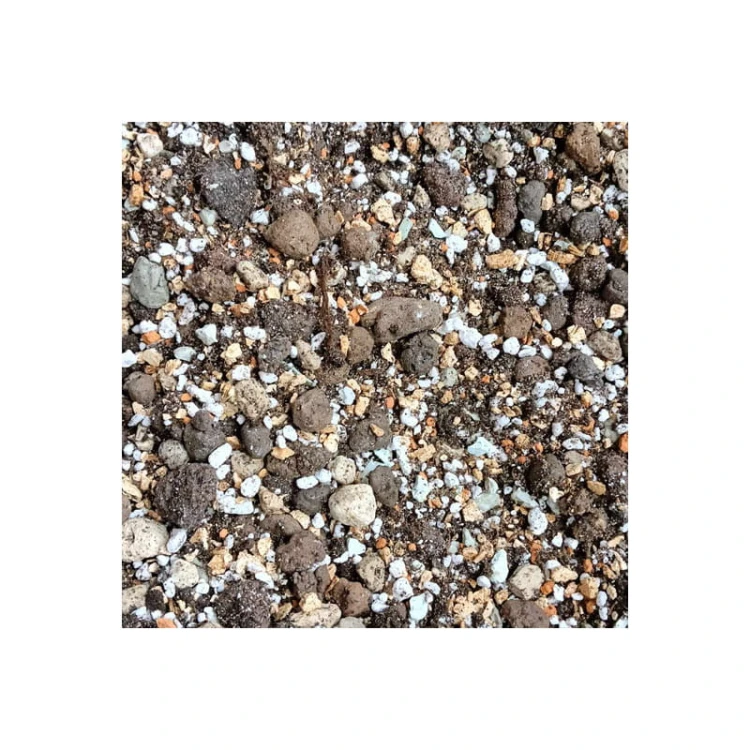 botanic-soil-succulent.jpg