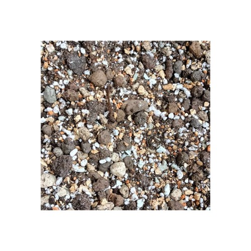 botanic-soil-succulent.jpg
